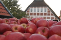 Malerisches Lüneburg - Glanzvolle Salzstadt, Altes Land und Heideblüte / AA 