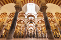 Stolzes Andalusien / mix